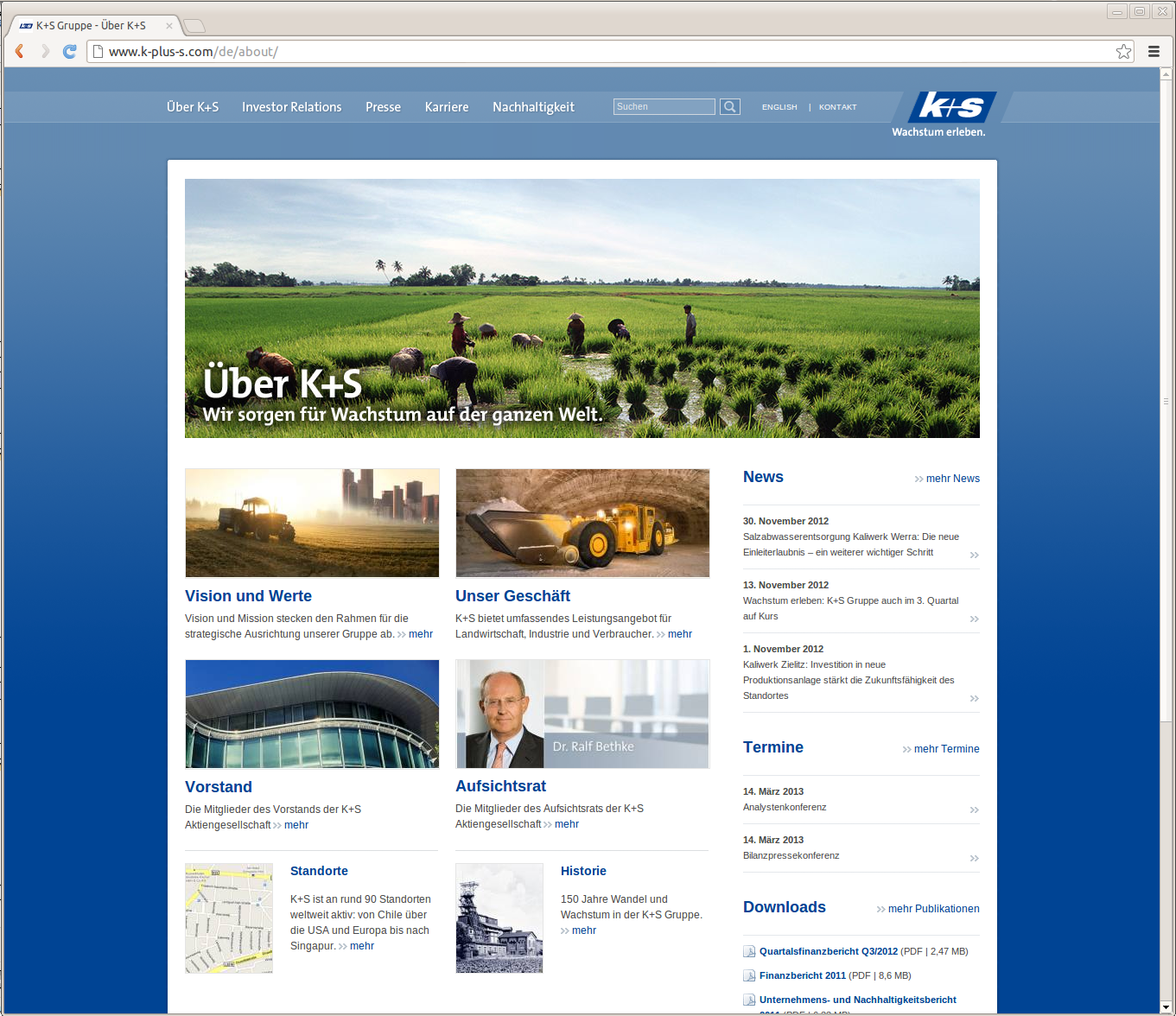 Kali und Salz (OpenCms)