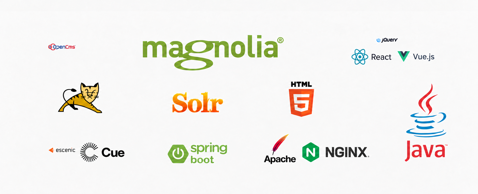 Leistungen:  Magnolia CMS - OpenCms - Escenic