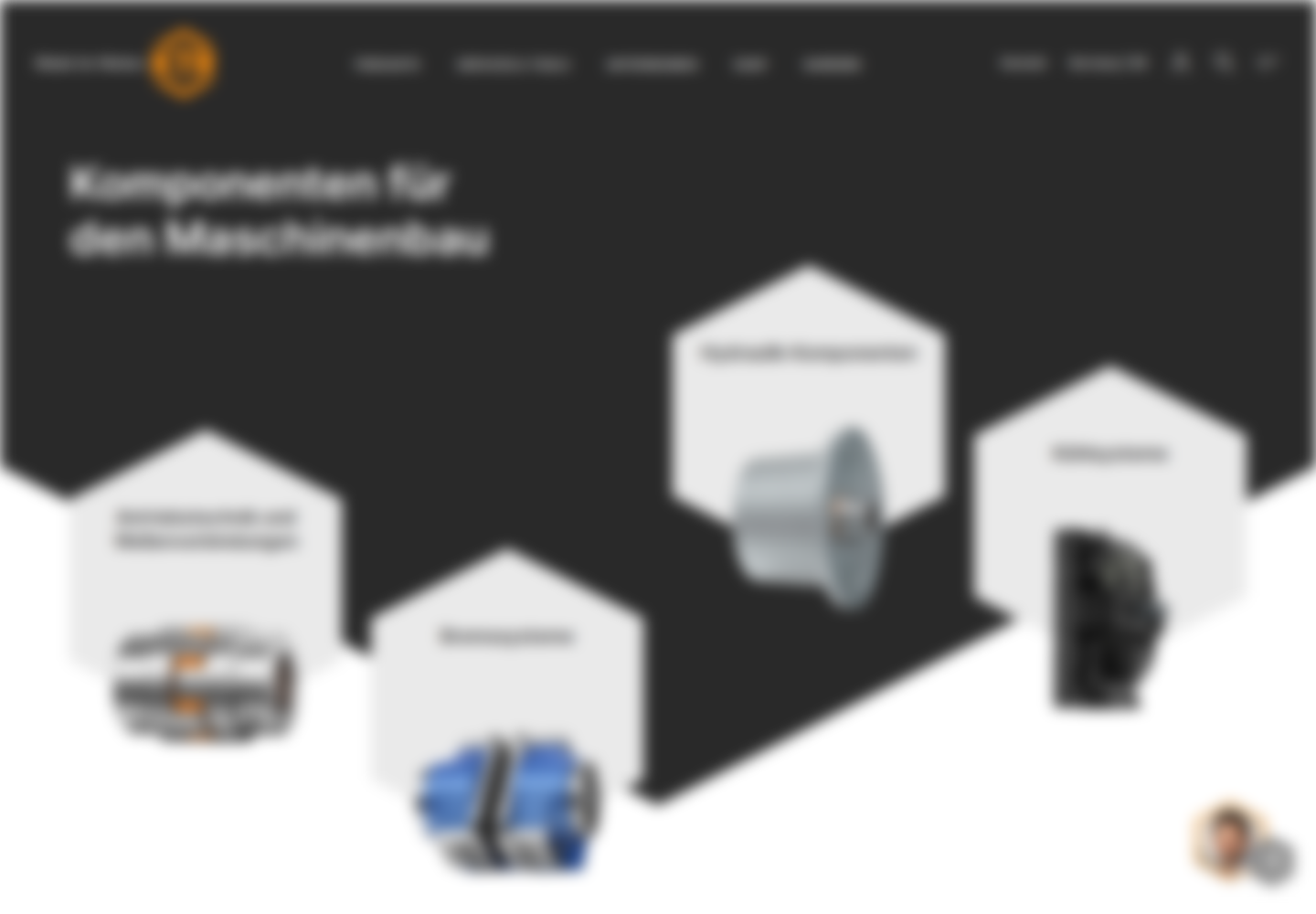 Blurred website screenshot: Magnolia PaaS, PIM integration and OpenSearch