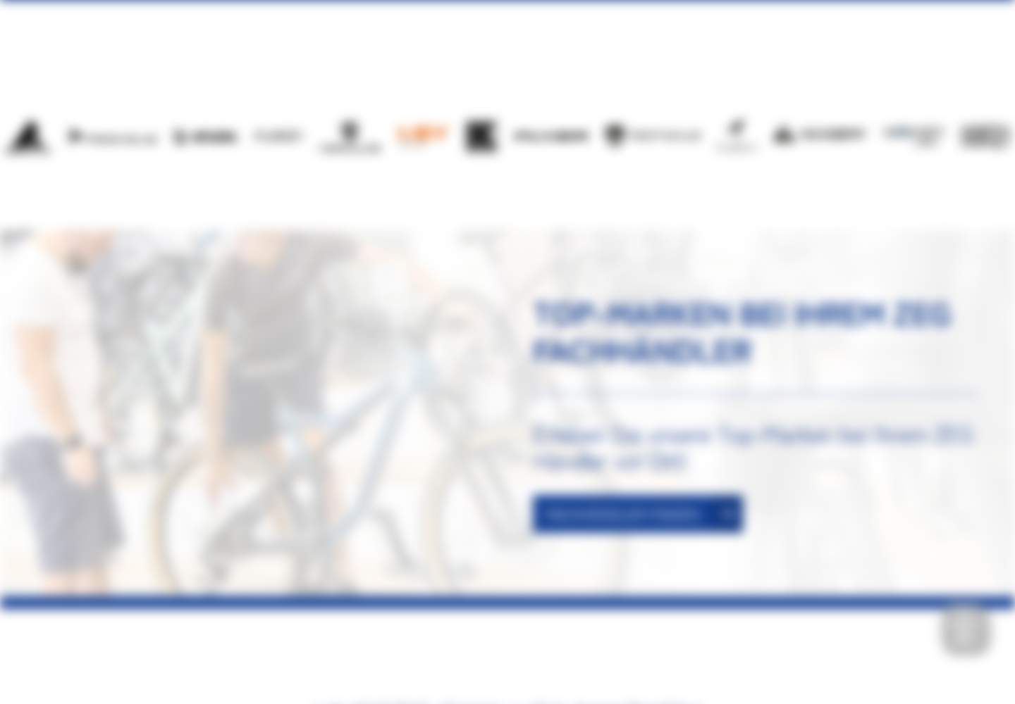 Blurred website screenshot: ZEG – Magnolia workflow and performance optimization