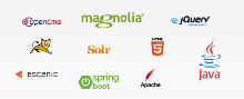 Leistungen:  Magnolia CMS - OpenCms - Escenic