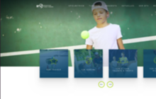 Magnolia (CMS) (Developer / Freelancer) - Large Tennis Association 